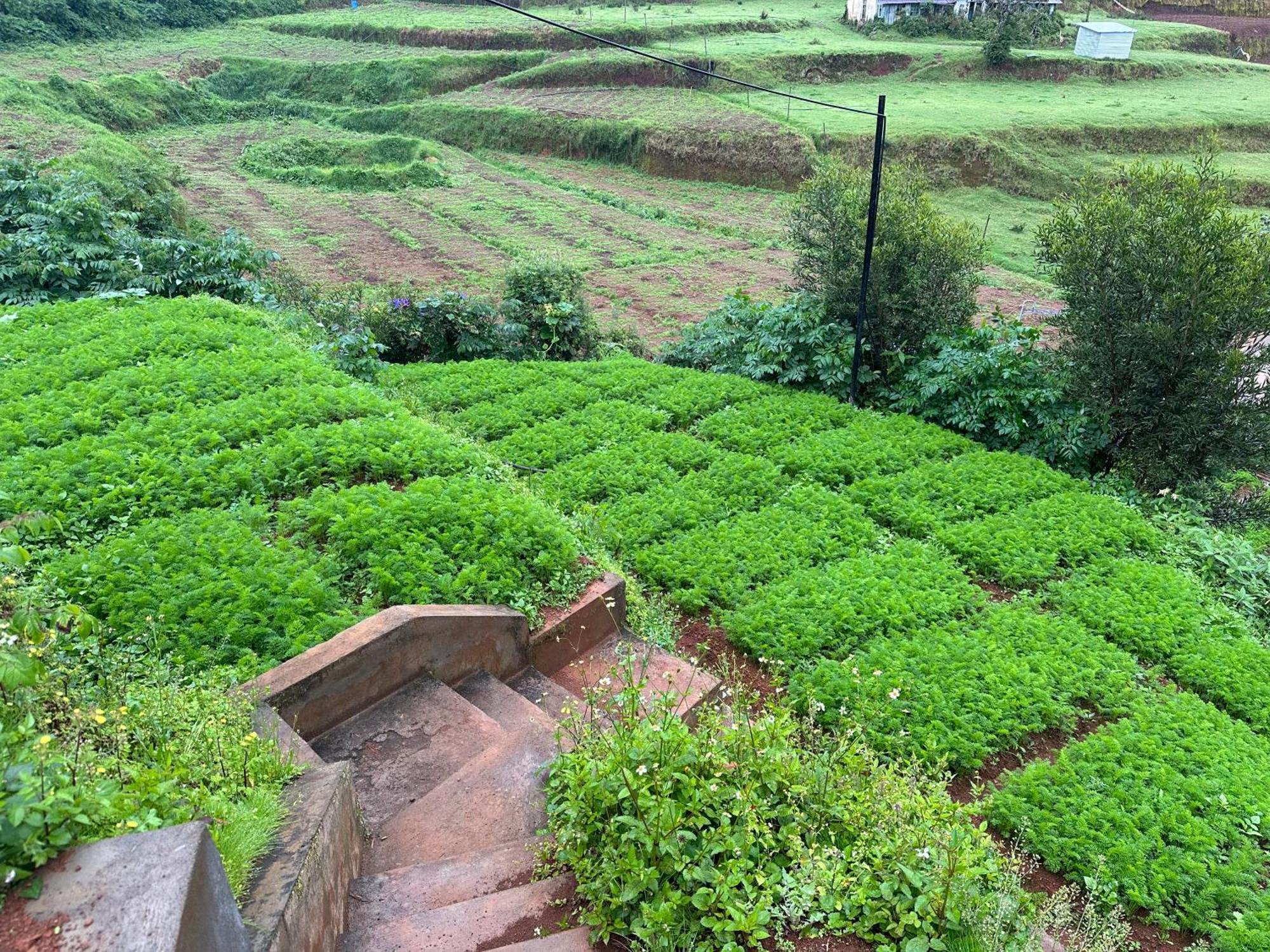 Kanjira House Ooty Exteriér fotografie