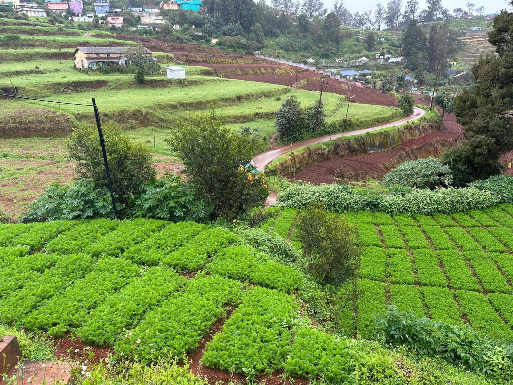 Kanjira House Ooty Exteriér fotografie